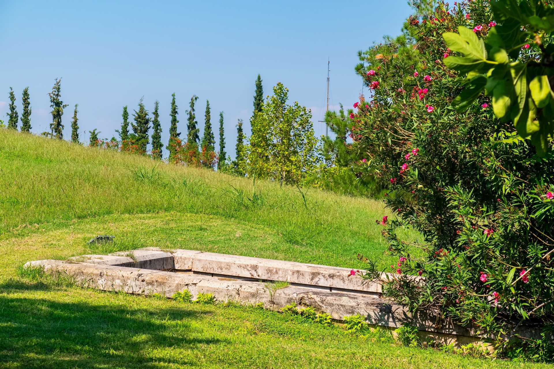 VERGINA 2 GREECE