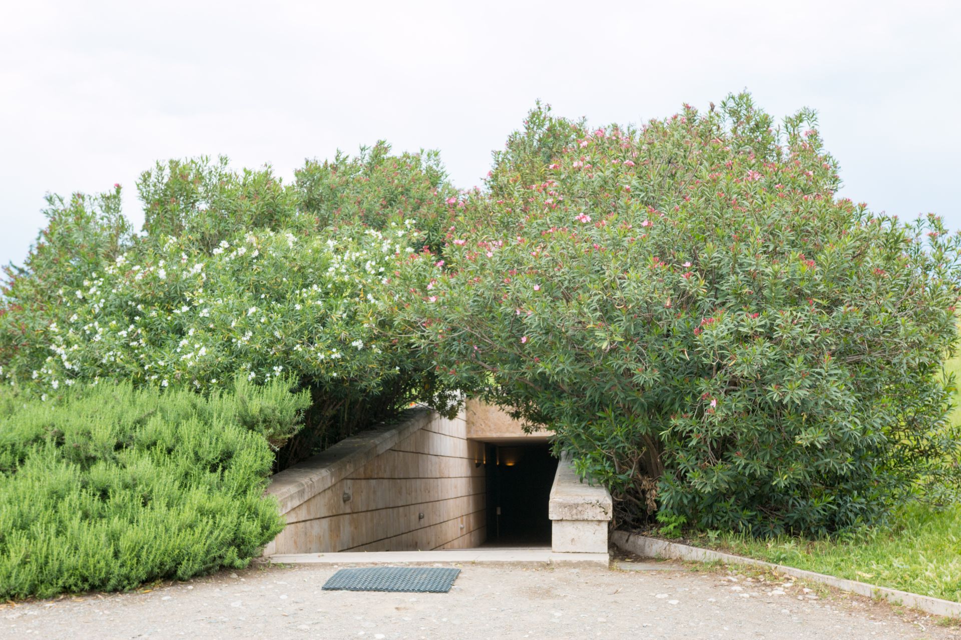 VERGINA 5 GREECE