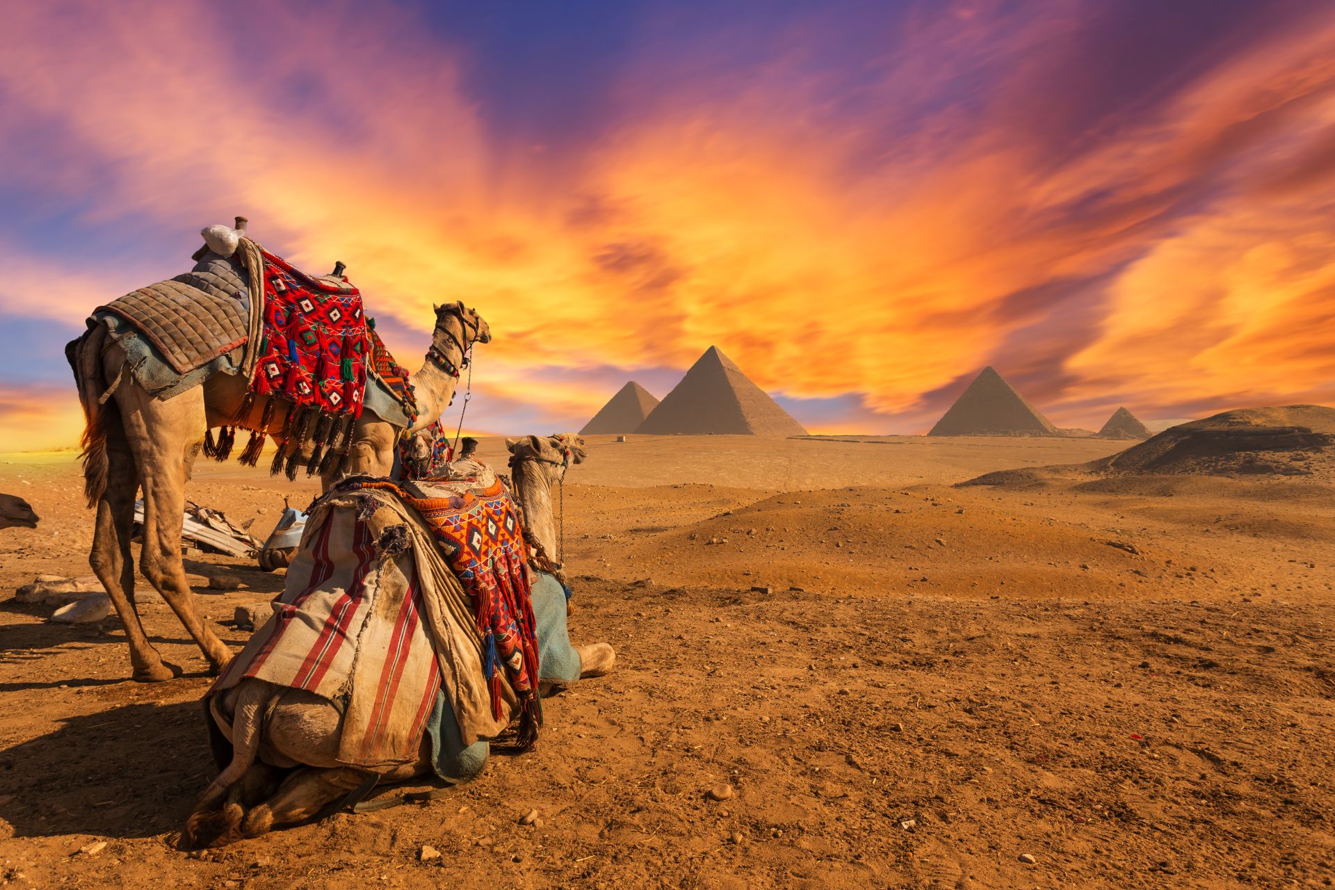 General view of pyramids, Giza ENHANCED EGYPT