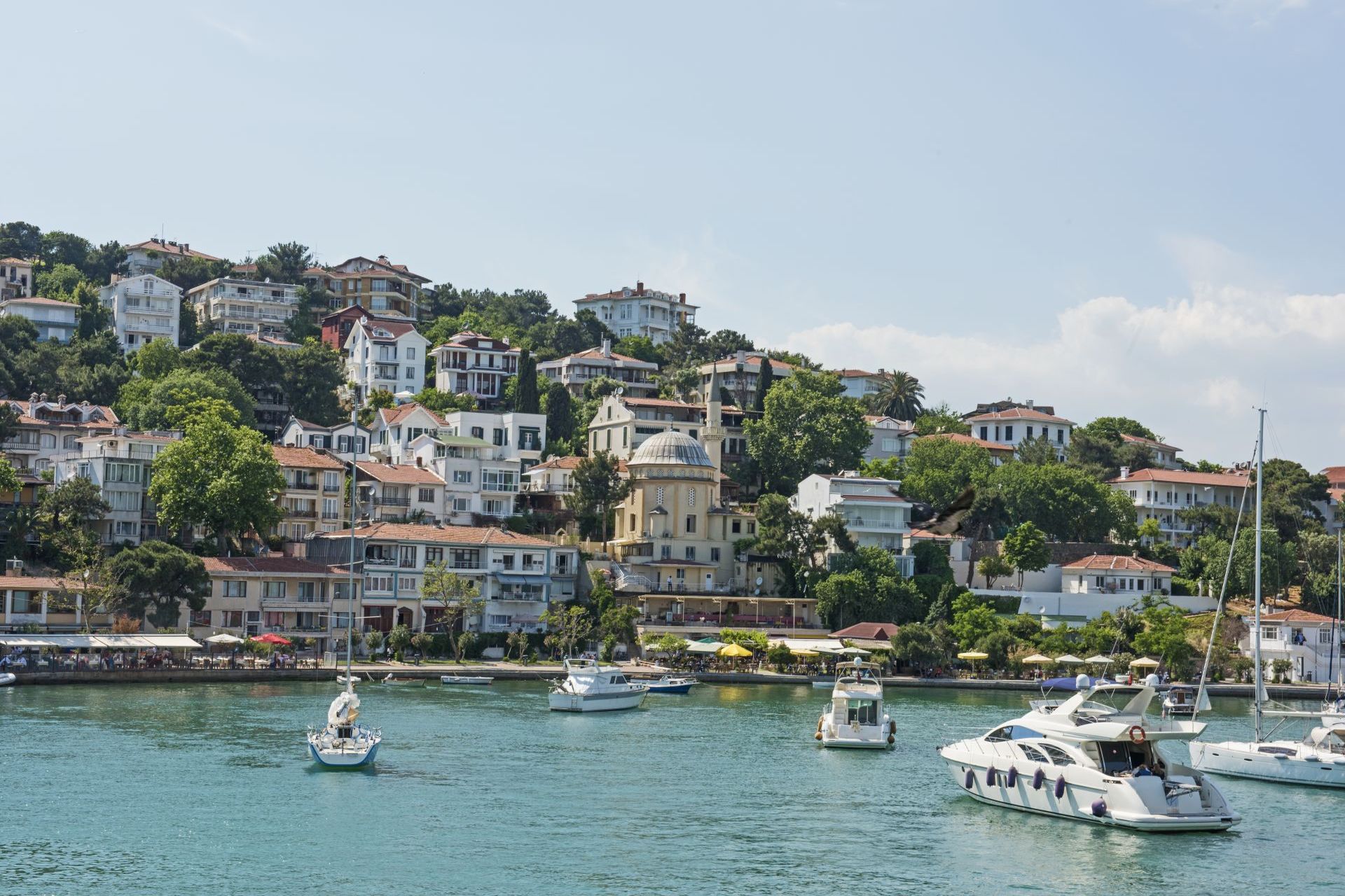 ISTANBUL View of rural Princes Island of Kinaliada hillside
